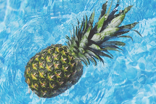 Floaty Pineapple